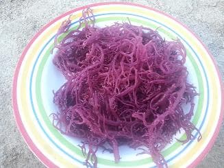 Dried RED _ PURPLE Eucheuma Cottonii Seaweed